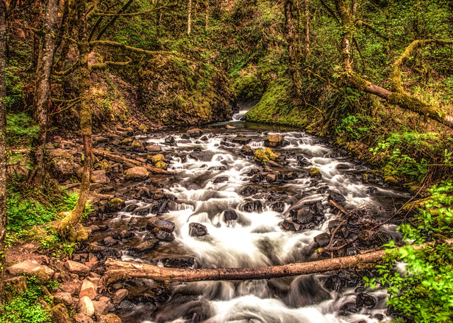 Creek Below Bridal Veil Falls Photography Art | Dale Yakaites Photography