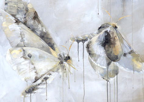 Moths In White Art | Britt Freda Studio 