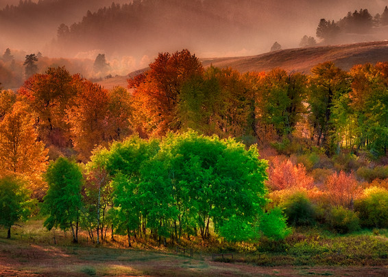Montana landscape, fall colors