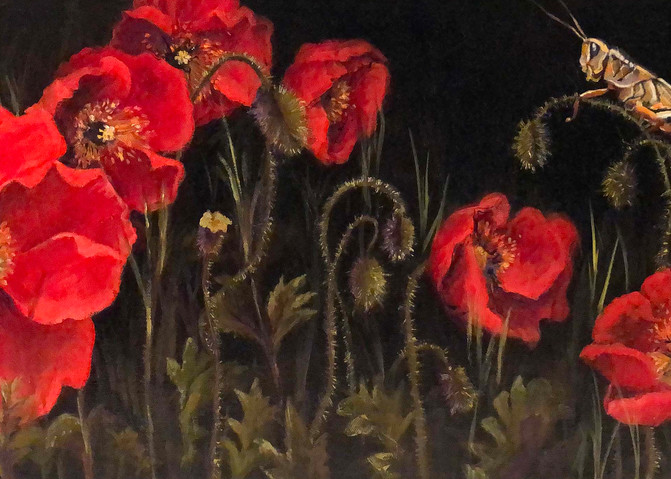 oil paintings of red poppies