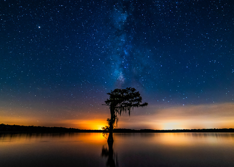 Milky Way Louisiana swamp photography