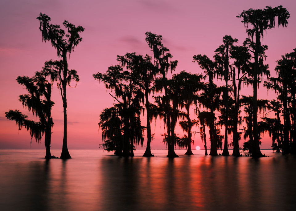 Morning in the Swamp - Louisiana sunrise photography prints