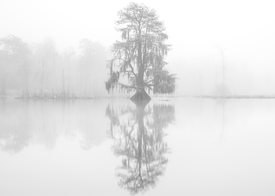 Ghosts in the mist photography print