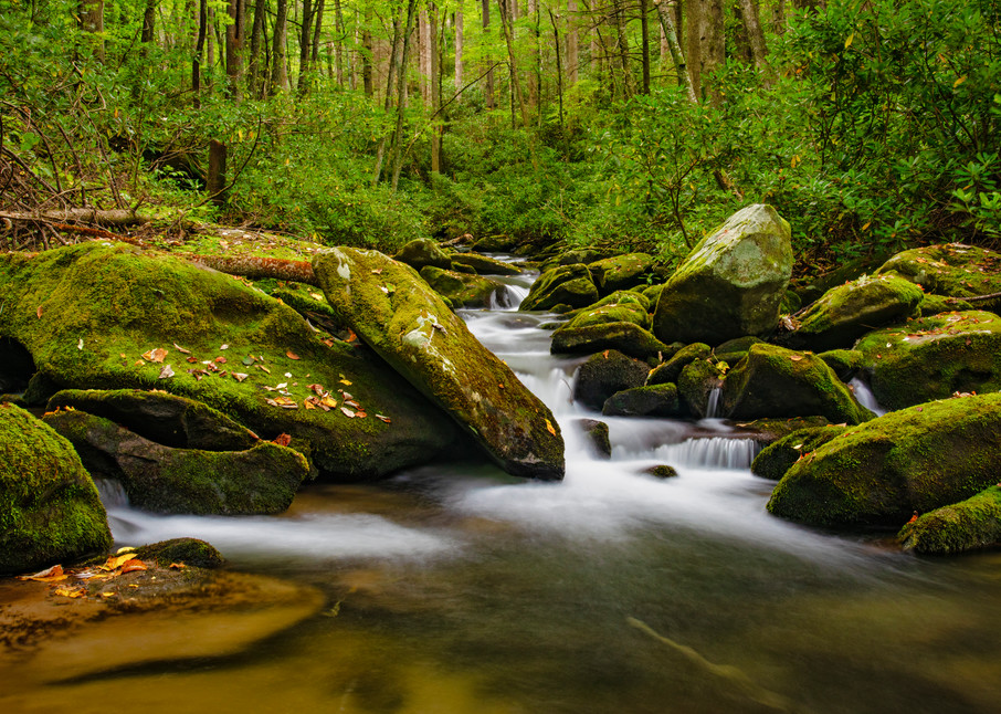 Smoky Mountains stream photography
