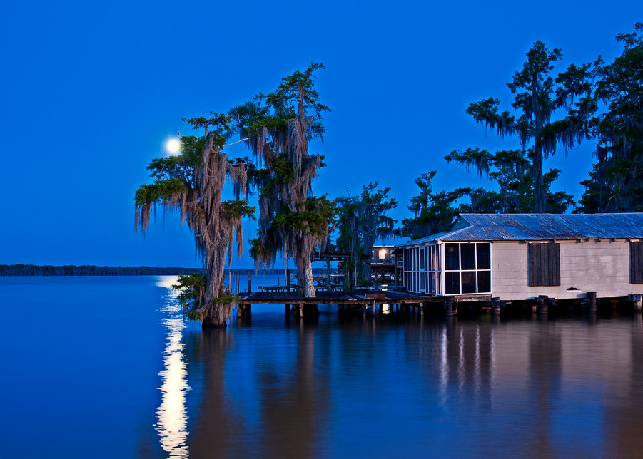Louisiana swamp moonrise photography