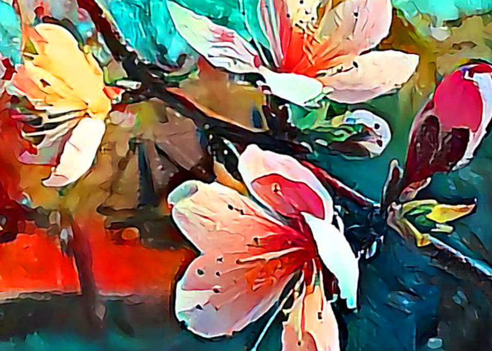 Peach Blossoms Art | SkotoArt