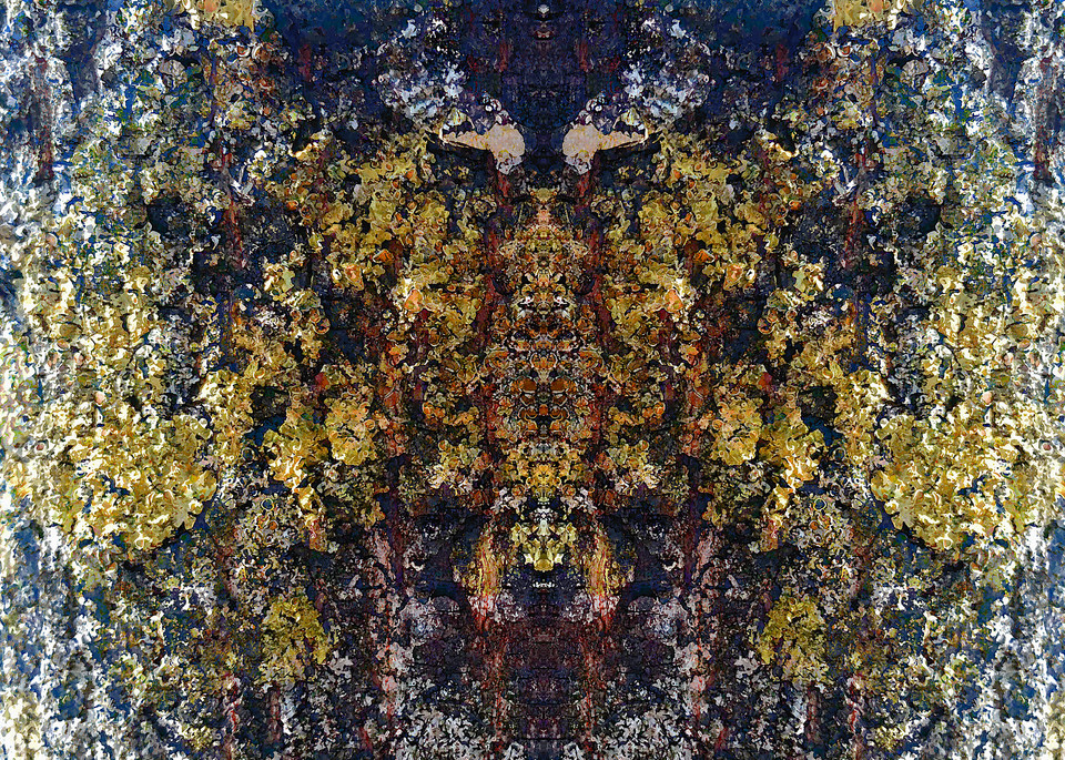 Lichen | Guardian Art | SkotoArt
