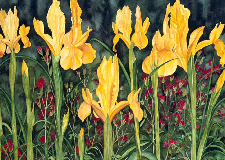 Bette's Irises Art | Digital Arts Studio / Fine Art Marketplace