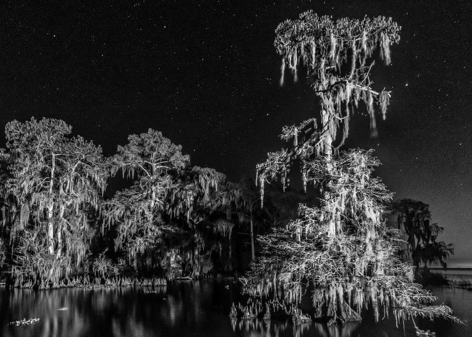 Night Swamp in contrast photography print