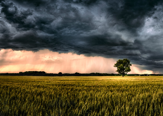 Ominous In Nature Photography Art | Trevor Pottelberg Photography