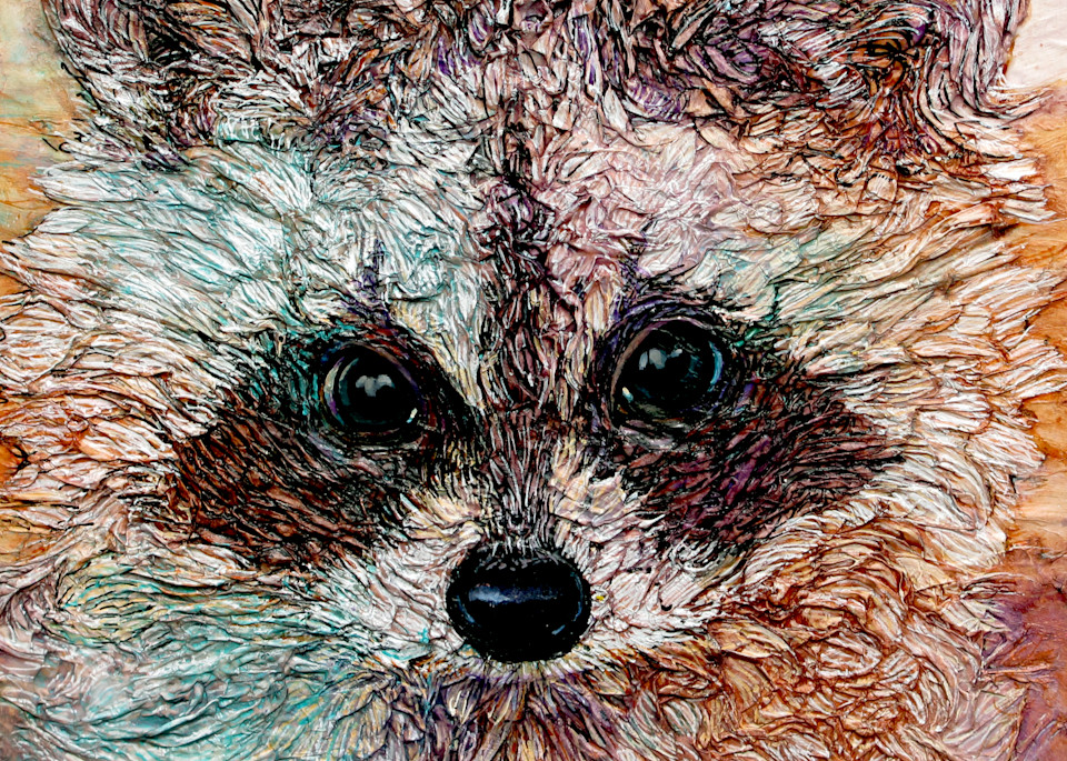 Kit, Raccoon | Col Mitchell Contemporary Paper Artist