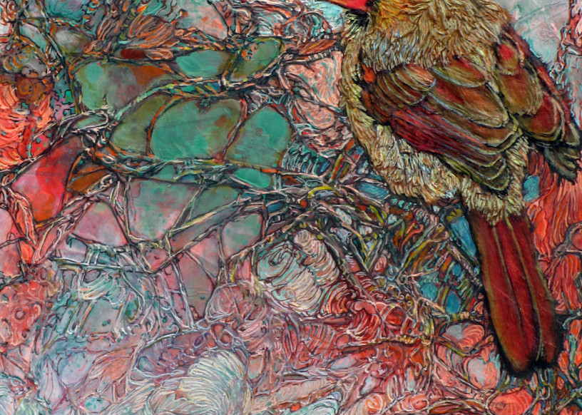 Thicket Starlet, Cardinal | Col Mitchell Contemporary Paper Artist