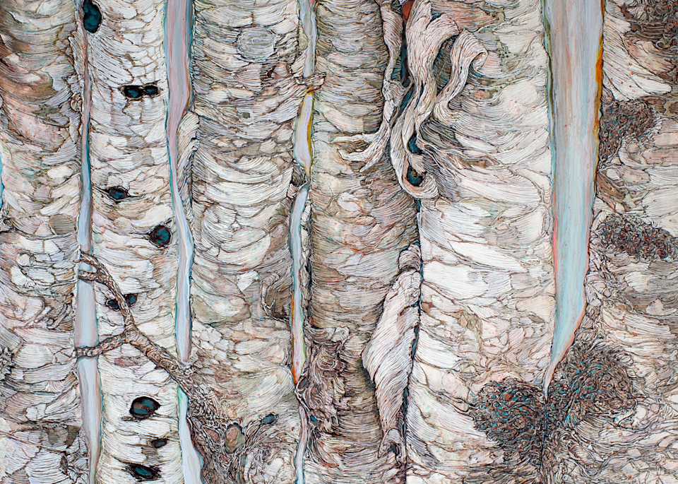 Birchen Forest | Col Mitchell Contemporary Paper Artist