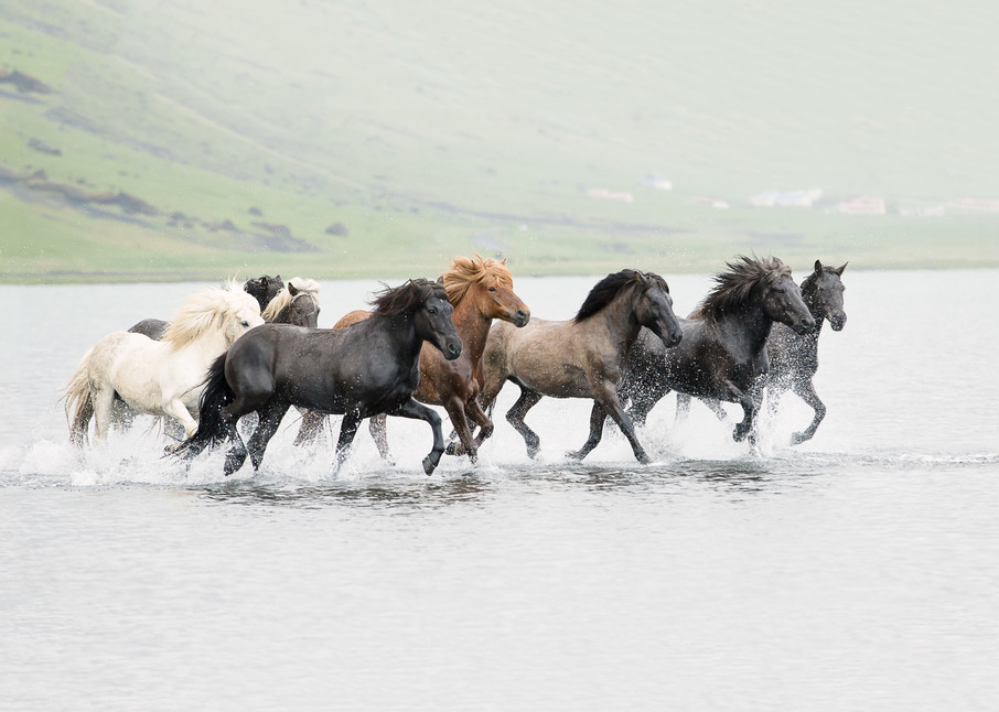 Icelandic Splash Photography Art | Sierra Luna Photography