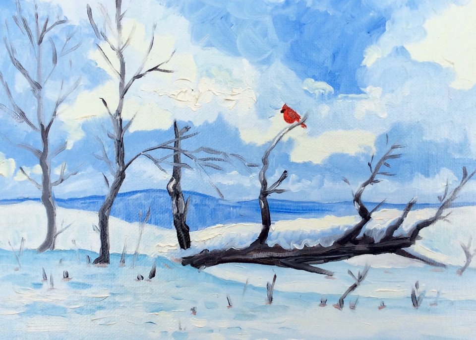 The Cardinal after the snowfall fine art print by Hilary J. England