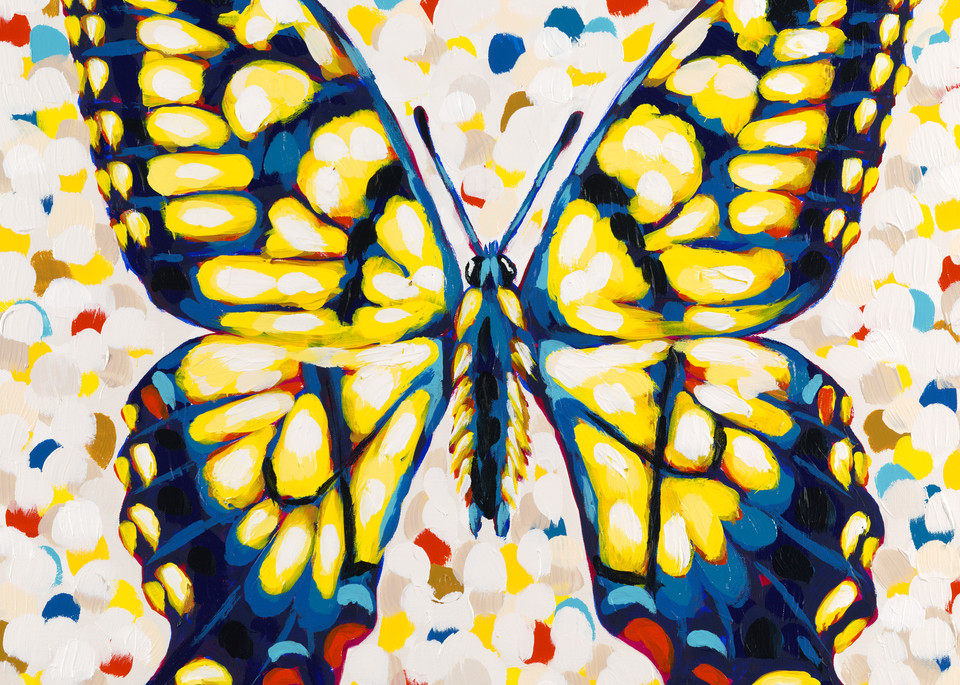 butterfly ii