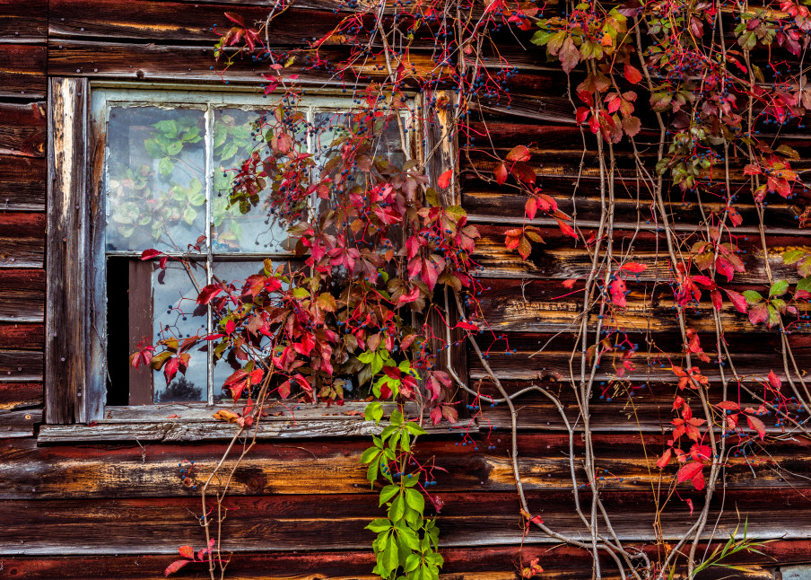 Rustic Barn 2 Photography Art | Gale Ensign Photography
