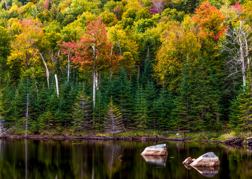 Whiteface Pond Ny Photography Art | Gale Ensign Photography