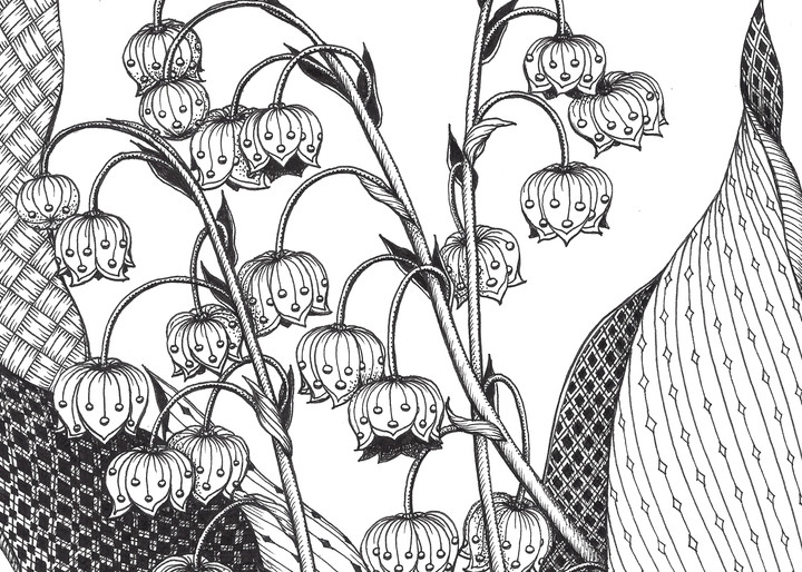 Lily of the Valley