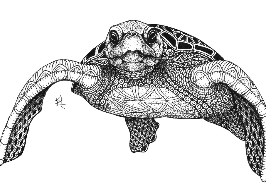 Sea Turtle (front)