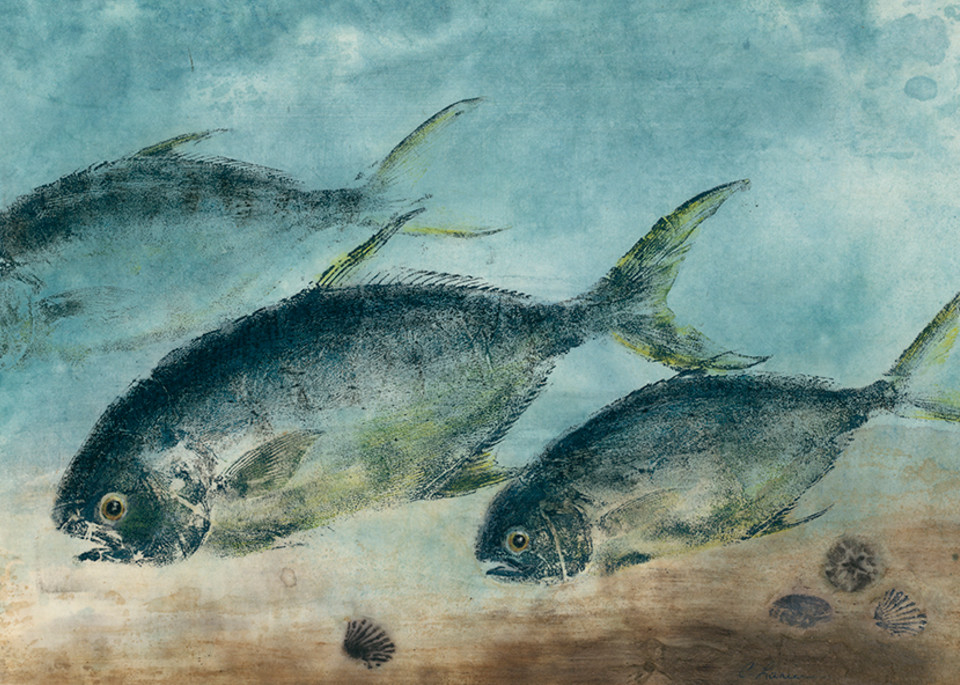 Camera Setup: "BetterLight 6150 | IR 2mm | HID Buhl", Artwork Image: "Lanier, Three Pompano in the Shallows, scan.tif", Artwork Colors: "Acrylic Paints.txt", White Image: "Lanier, Three Pompano in the Shallows, white scan.tif", White Colors: "Foamco
