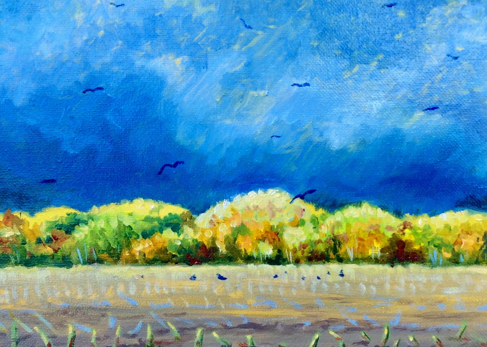 Blackbirds in the harvested fields Fine Art Open Edition Print