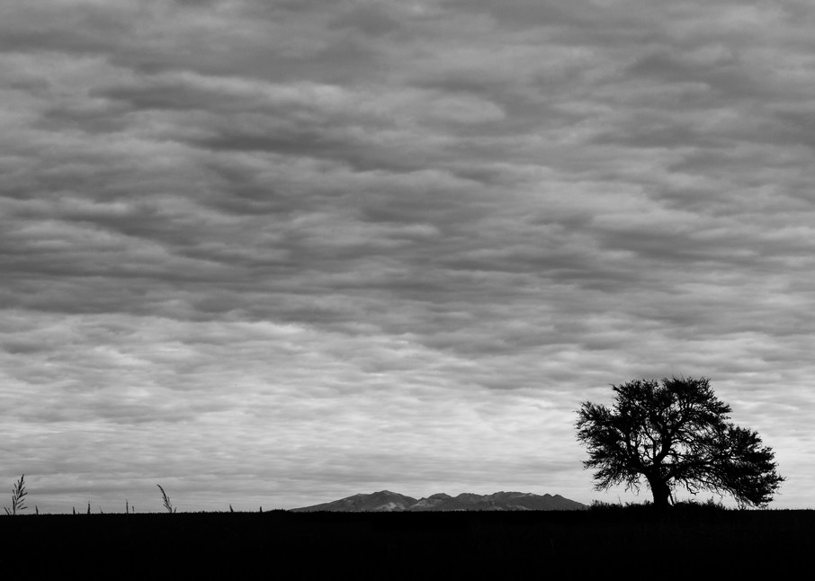 On The Plains Of Argentina Photography Art | Nathan Larson Photography