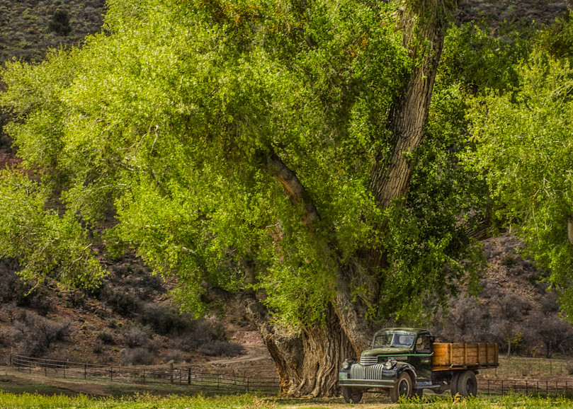 Country Shade For An Oldtimer Photography Art | JL Grief Fine Art Photography