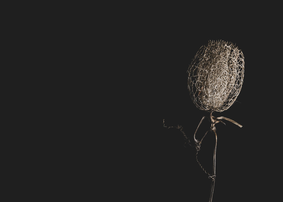The Flower Iii Photography Art | Nathan Larson Photography