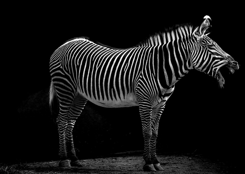 Striped Z S Art | krlphoto
