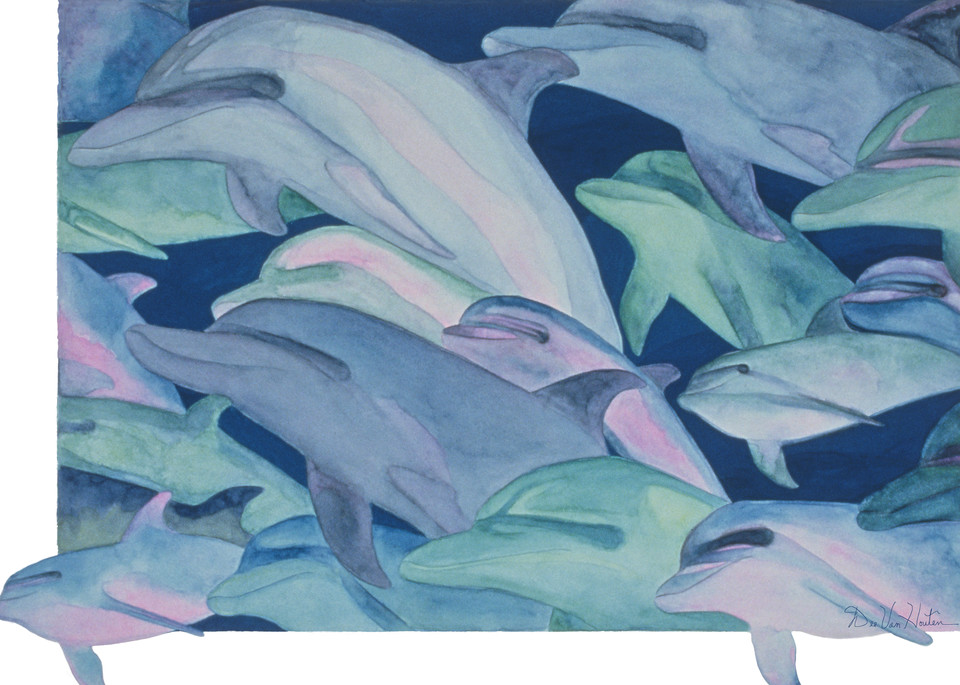 "Color Rhythms" Dolphin Giclee Prints