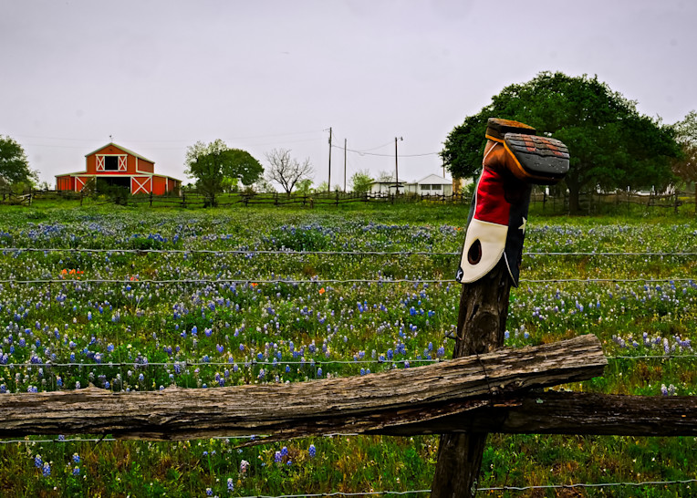 Bluebonnets And Boot 1 Colorful Art | Drone Video TX