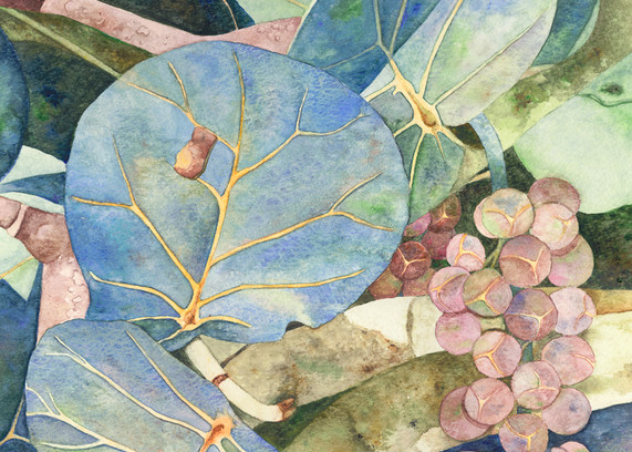 A print on gallery-wrapped canvas of Blue-colored Sea Grapes with a lizard sunning on a branch.  Work by watercolor artist Sandra Galloway