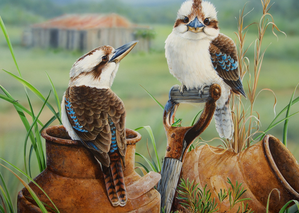 Countrysiders - Laughing Kookaburra's | Natalie Jane Parker Australian