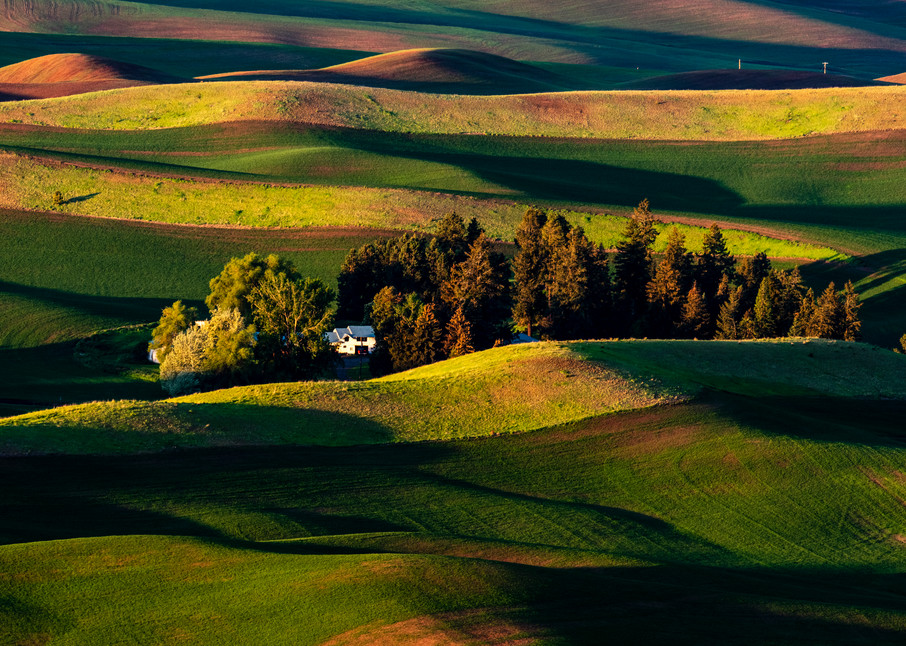 Palouse morning and a white house