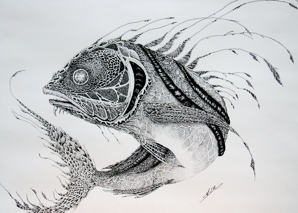 Roosterfish Art | Alice MC