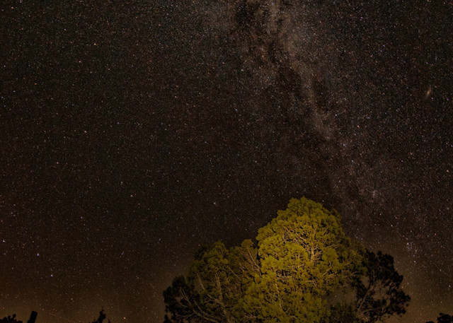 Milky way Photograph 8966 Kebler Pass  | Night Photography | Koral Martin Fine Art Photography