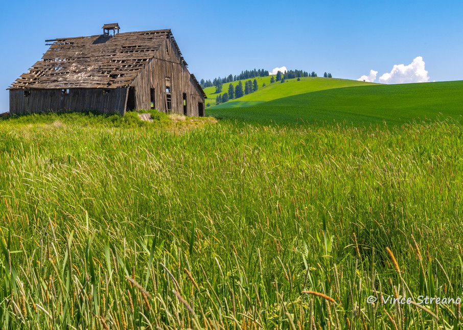 A rickety barn on the Palouse in Washington state