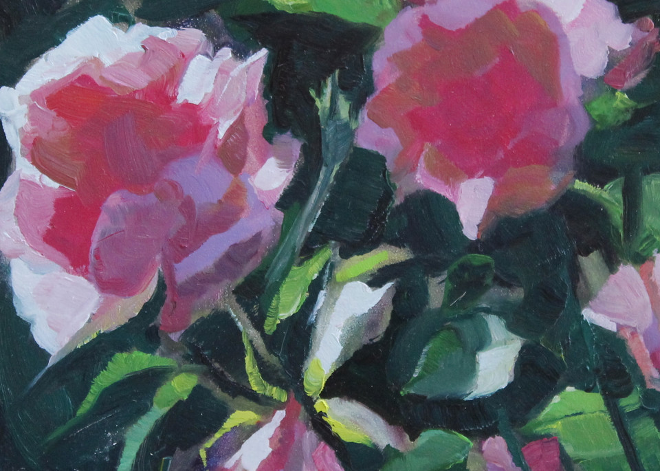 Oil painting of bright pink camellias in the afternoon sunlight.