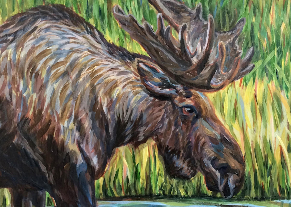 Bull Moose At Lakefront   Alaska Art Print Art | Amanda Faith Alaska Paintings / Estuary Arts, LLC