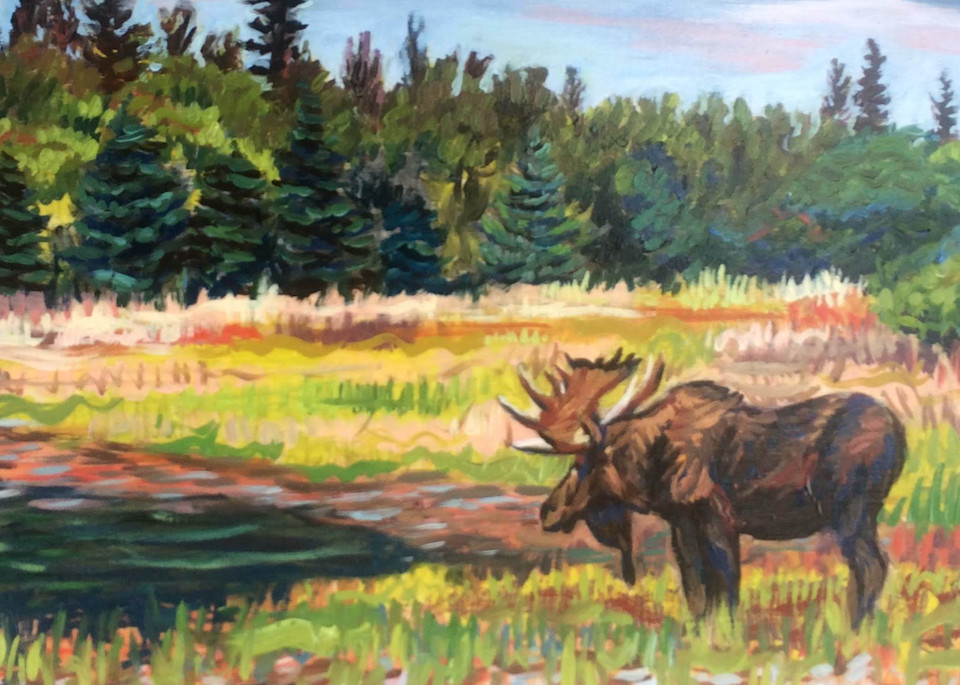 Bull Moose in Alaska Pond art print by Amanda Faith