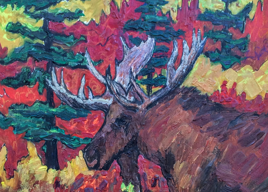 Alaska Bull Moose in Autumn, Red, Gold, Wildlife  - Art Print by Amanda Faith Thompson