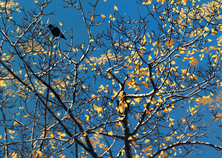 A crow roosts by the river in morning.