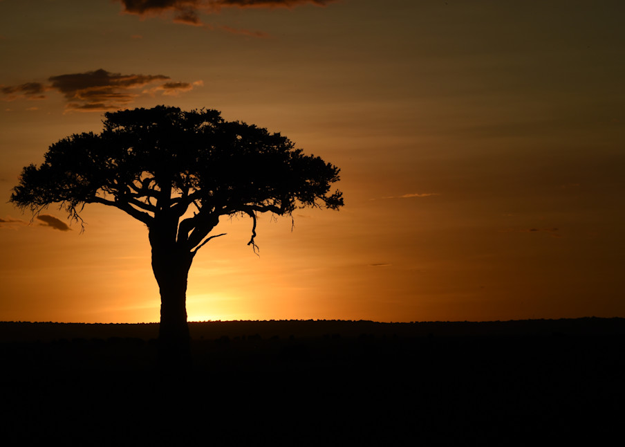 Masai Mara Sunset, Kenya Photography Art | Brian Ross Photography