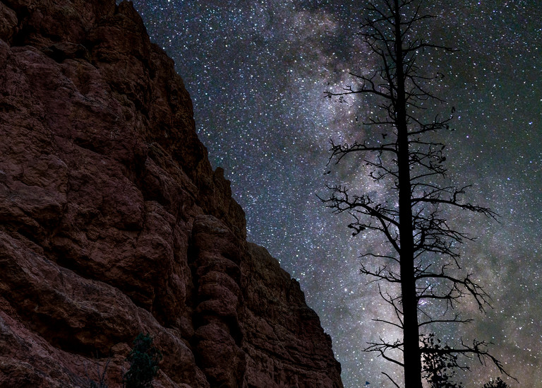 Night at Red Canyon with the Stars