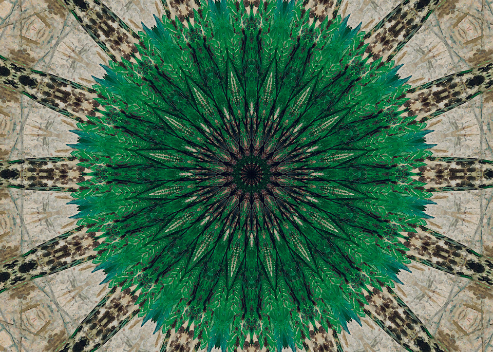 Day 205   Emerald Mandala Art | SkotoArt