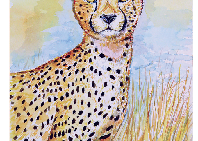 Cheetah Cat, fast running