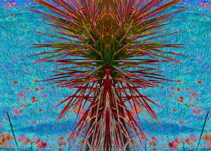 Yucca No. 1 Art | Maureen Wilks Digital Fine Art