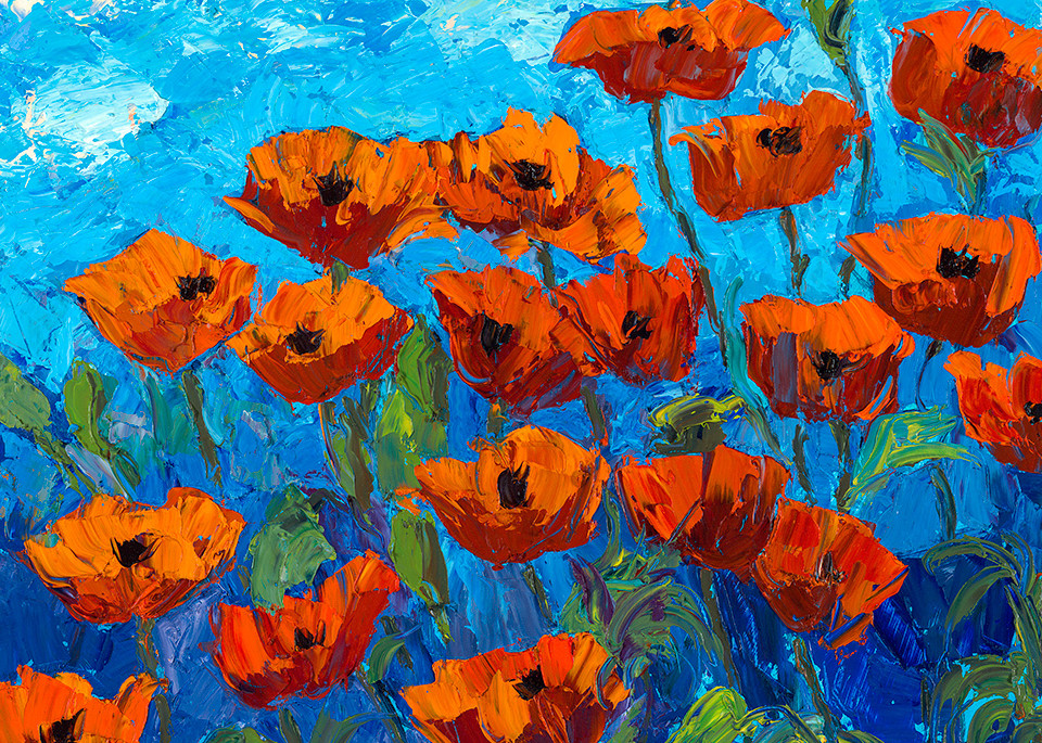Summer Day Poppies Art | Fine Art New Mexico