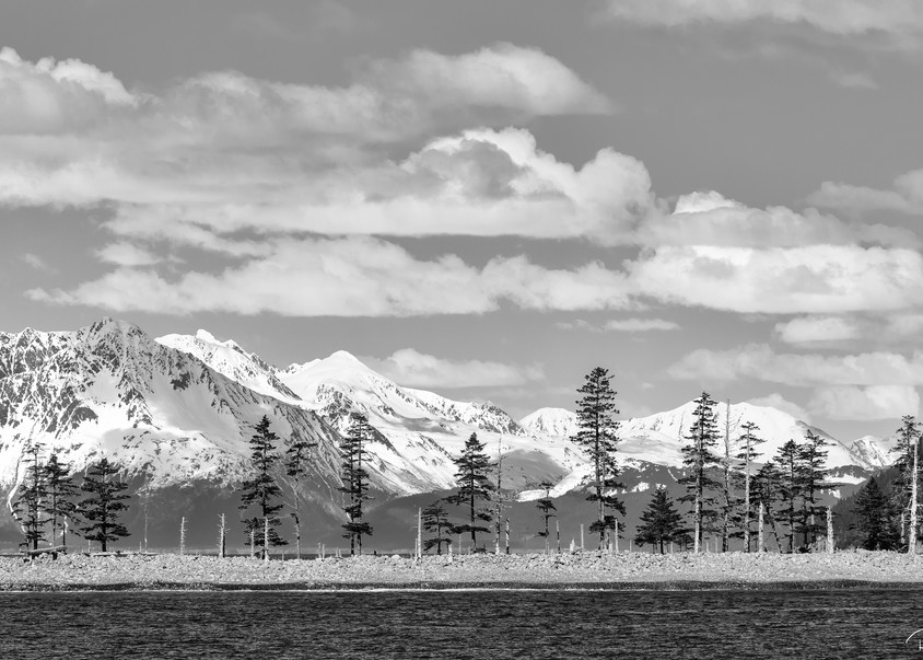 Sandspit Point and the Kenai Mountains  near Seward in Southcentral Alaska. Spring. Afternoon.